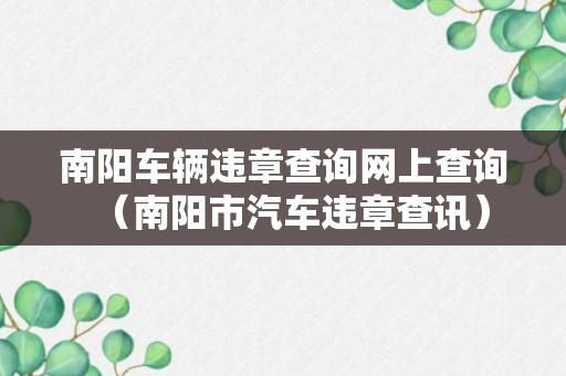 南阳车辆违章查询网上查询（南阳市汽车违章查讯）