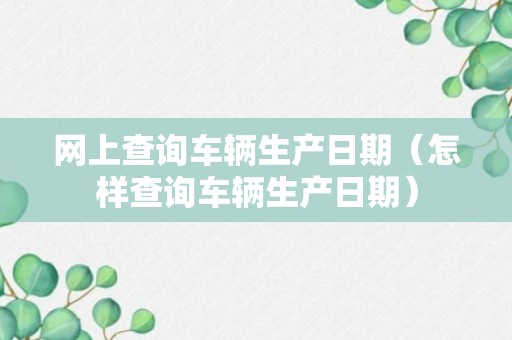 网上查询车辆生产日期（怎样查询车辆生产日期）