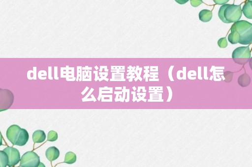 dell电脑设置教程（dell怎么启动设置）