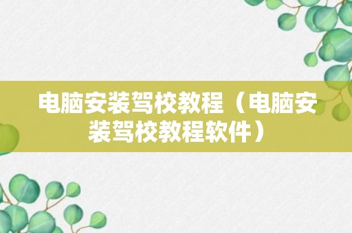 电脑安装驾校教程（电脑安装驾校教程软件）