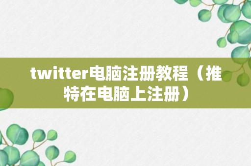 twitter电脑注册教程（推特在电脑上注册）