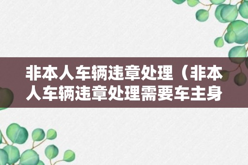 非本人车辆违章处理（非本人车辆违章处理需要车主身份证吗）