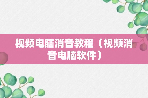 视频电脑消音教程（视频消音电脑软件）