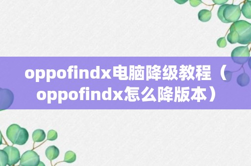 oppofindx电脑降级教程（oppofindx怎么降版本）