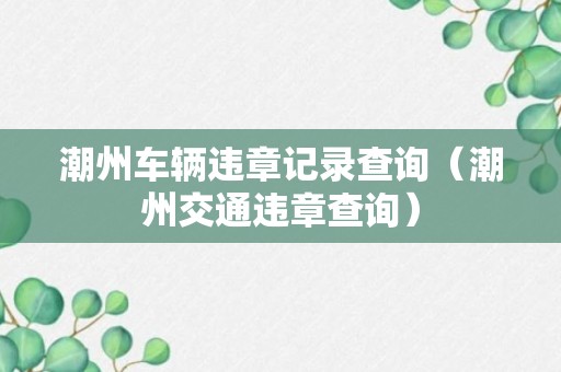 潮州车辆违章记录查询（潮州交通违章查询）