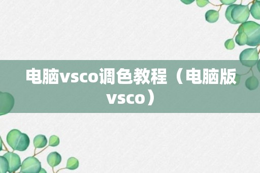 电脑vsco调色教程（电脑版vsco）