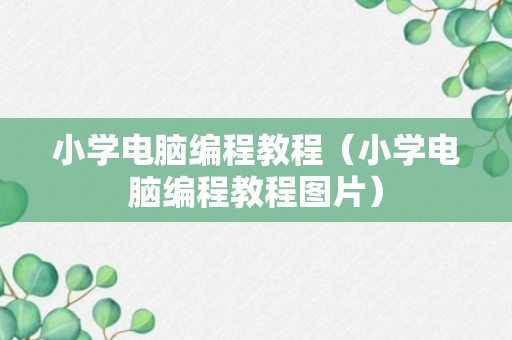 小学电脑编程教程（小学电脑编程教程图片）