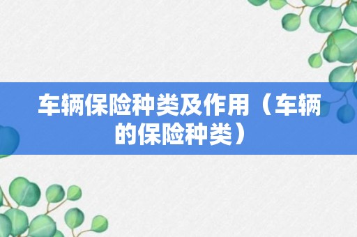 车辆保险种类及作用（车辆的保险种类）