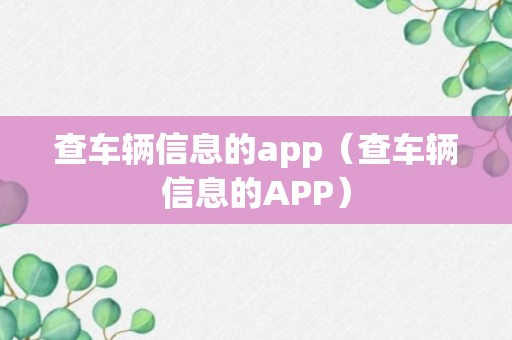 查车辆信息的app（查车辆信息的APP）