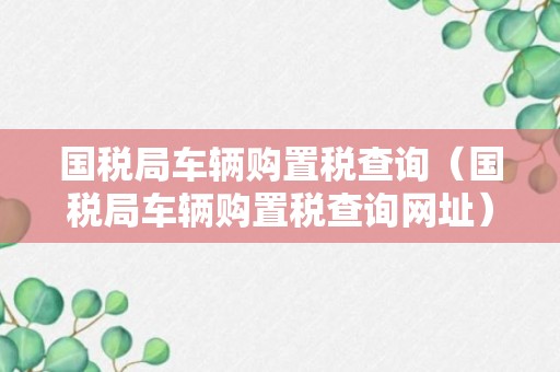 国税局车辆购置税查询（国税局车辆购置税查询网址）