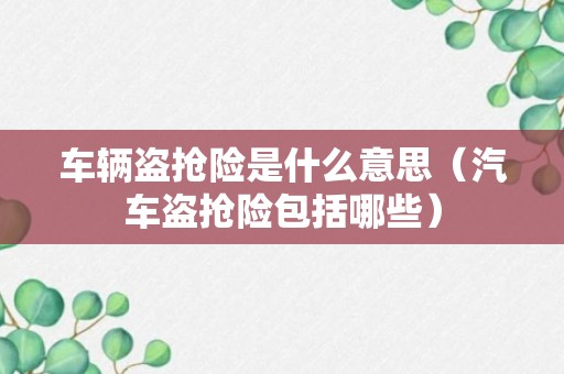 车辆盗抢险是什么意思（汽车盗抢险包括哪些）