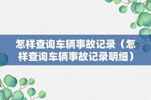 怎样查询车辆事故记录（怎样查询车辆事故记录明细）