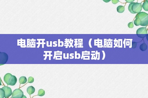 电脑开usb教程（电脑如何开启usb启动）