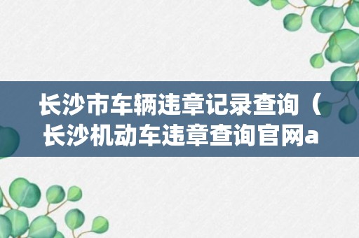 长沙市车辆违章记录查询（长沙机动车违章查询官网app）