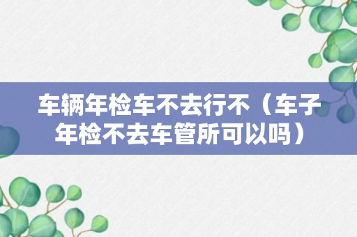 车辆年检车不去行不（车子年检不去车管所可以吗）