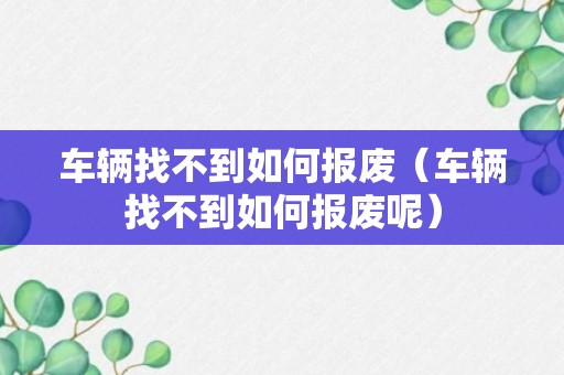 车辆找不到如何报废（车辆找不到如何报废呢）