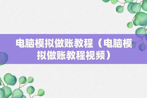 电脑模拟做账教程（电脑模拟做账教程视频）