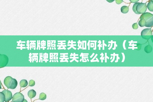 车辆牌照丢失如何补办（车辆牌照丢失怎么补办）