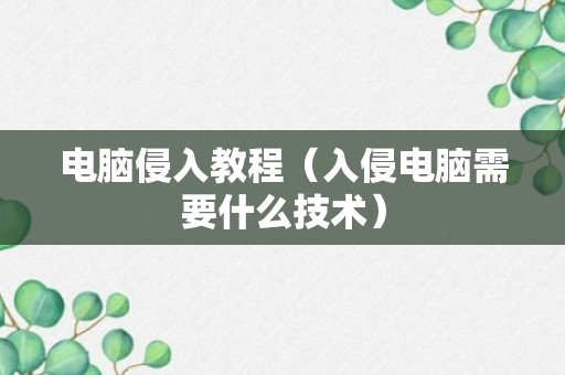 电脑侵入教程（入侵电脑需要什么技术）