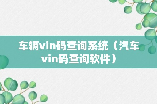 车辆vin码查询系统（汽车vin码查询软件）