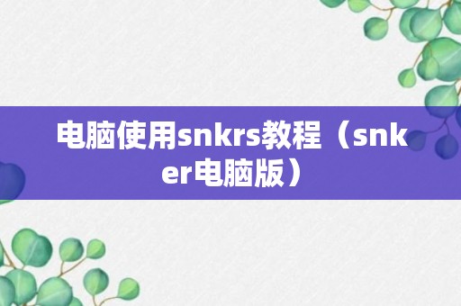 电脑使用snkrs教程（snker电脑版）