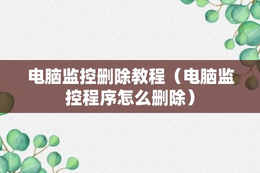 电脑监控删除教程（电脑监控程序怎么删除）