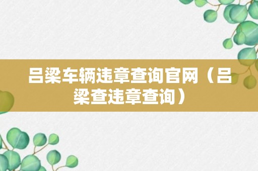 吕梁车辆违章查询官网（吕梁查违章查询）