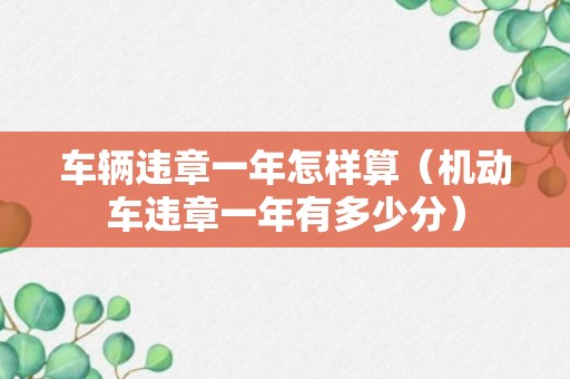 车辆违章一年怎样算（机动车违章一年有多少分）