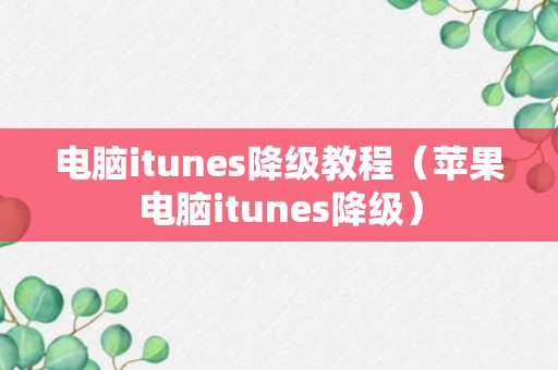 电脑itunes降级教程（苹果电脑itunes降级）