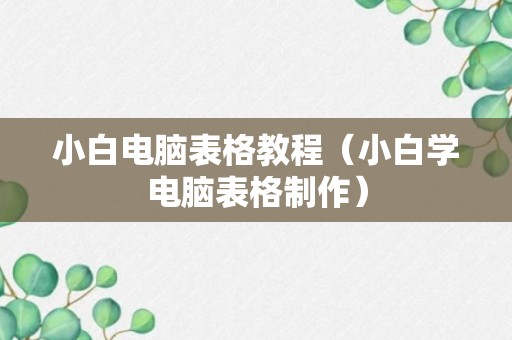 小白电脑表格教程（小白学电脑表格制作）