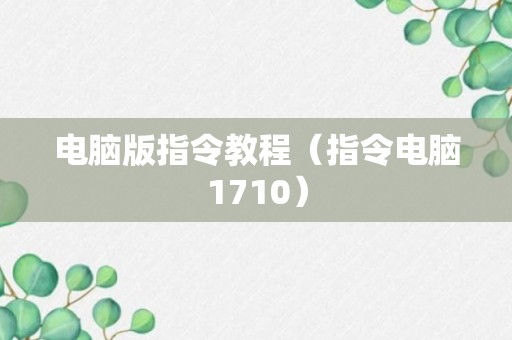 电脑版指令教程（指令电脑1710）