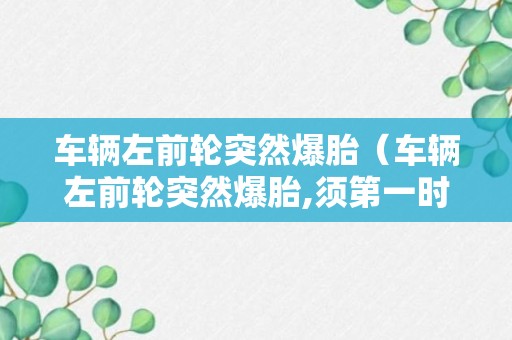 车辆左前轮突然爆胎（车辆左前轮突然爆胎,须第一时间紧握转向盘）