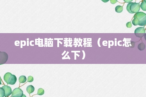 epic电脑下载教程（epic怎么下）