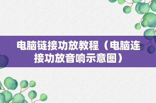 电脑链接功放教程（电脑连接功放音响示意图）