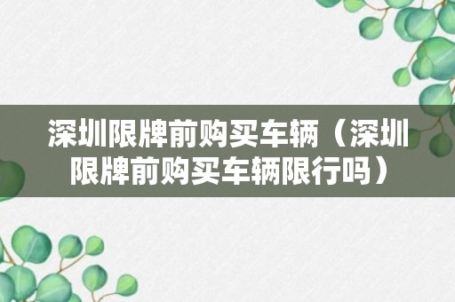 深圳限牌前购买车辆（深圳限牌前购买车辆限行吗）