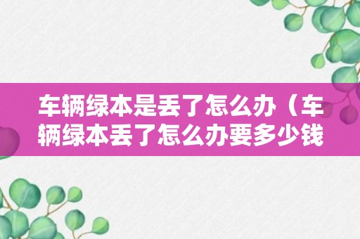 车辆绿本是丢了怎么办（车辆绿本丢了怎么办要多少钱补办）