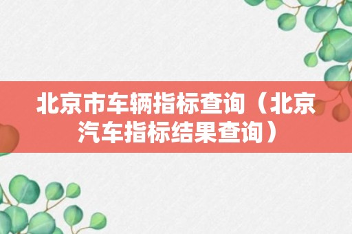 北京市车辆指标查询（北京汽车指标结果查询）