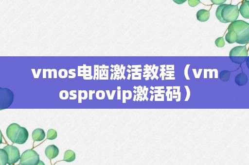 vmos电脑激活教程（vmosprovip激活码）