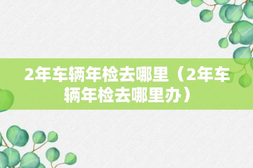 2年车辆年检去哪里（2年车辆年检去哪里办）