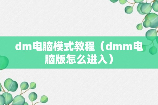 dm电脑模式教程（dmm电脑版怎么进入）