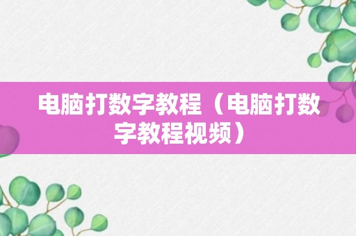 电脑打数字教程（电脑打数字教程视频）