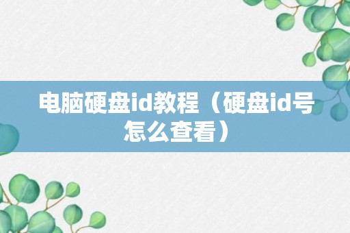 电脑硬盘id教程（硬盘id号怎么查看）