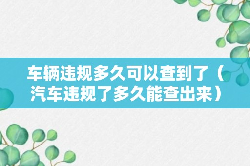 车辆违规多久可以查到了（汽车违规了多久能查出来）