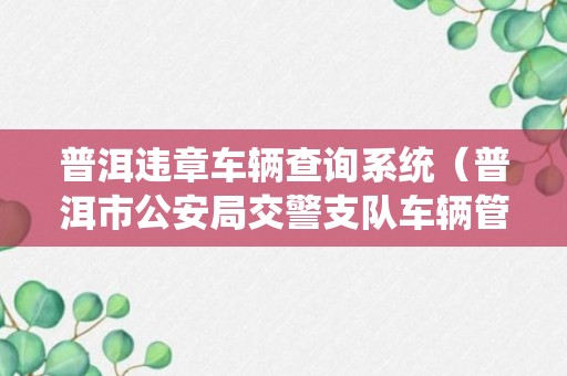 普洱违章车辆查询系统（普洱市公安局交警支队车辆管理所）