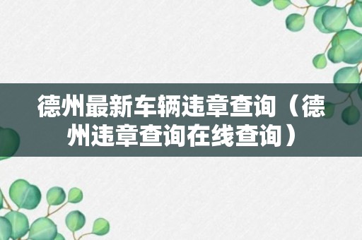 德州最新车辆违章查询（德州违章查询在线查询）