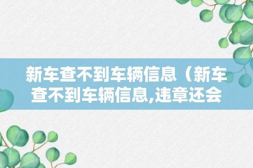 新车查不到车辆信息（新车查不到车辆信息,违章还会被记录么）