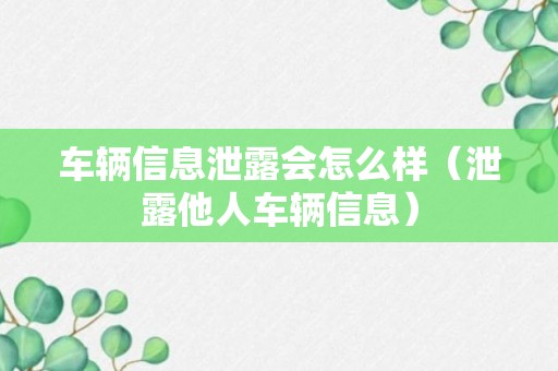 车辆信息泄露会怎么样（泄露他人车辆信息）