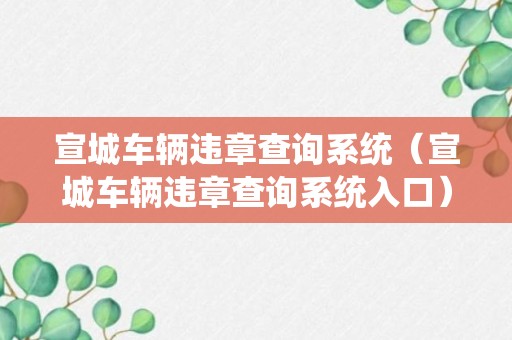 宣城车辆违章查询系统（宣城车辆违章查询系统入口）