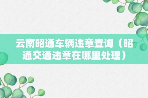 云南昭通车辆违章查询（昭通交通违章在哪里处理）