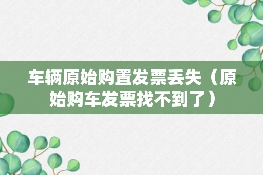 车辆原始购置发票丢失（原始购车发票找不到了）